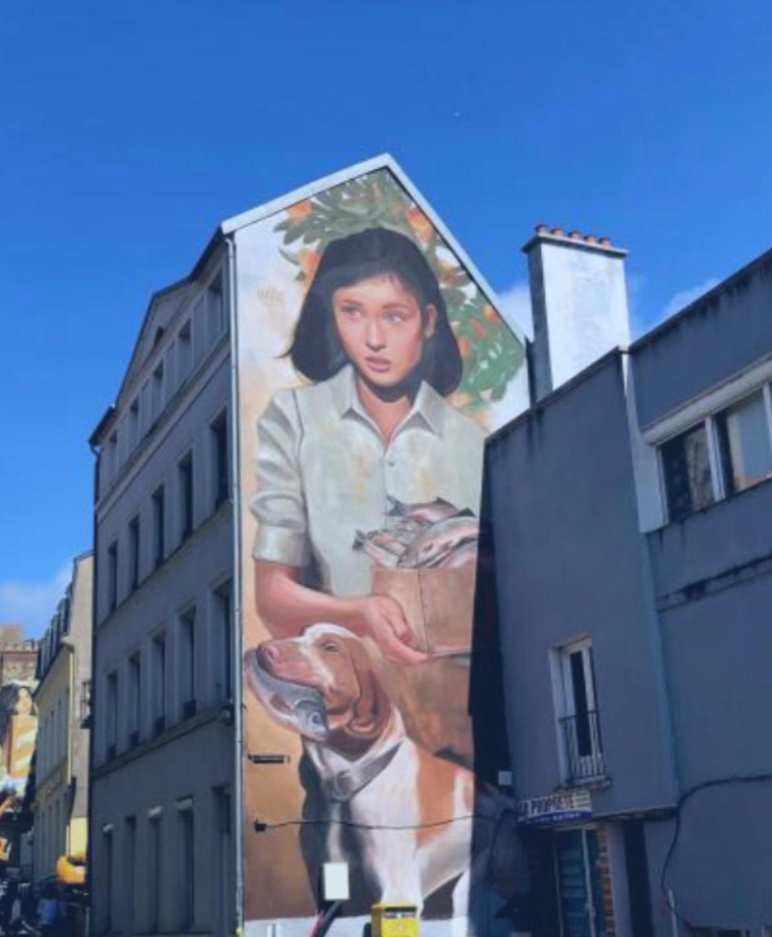 Jungle Appartement Lumineux Plein Centre Boulogne-sur-Mer Exteriör bild