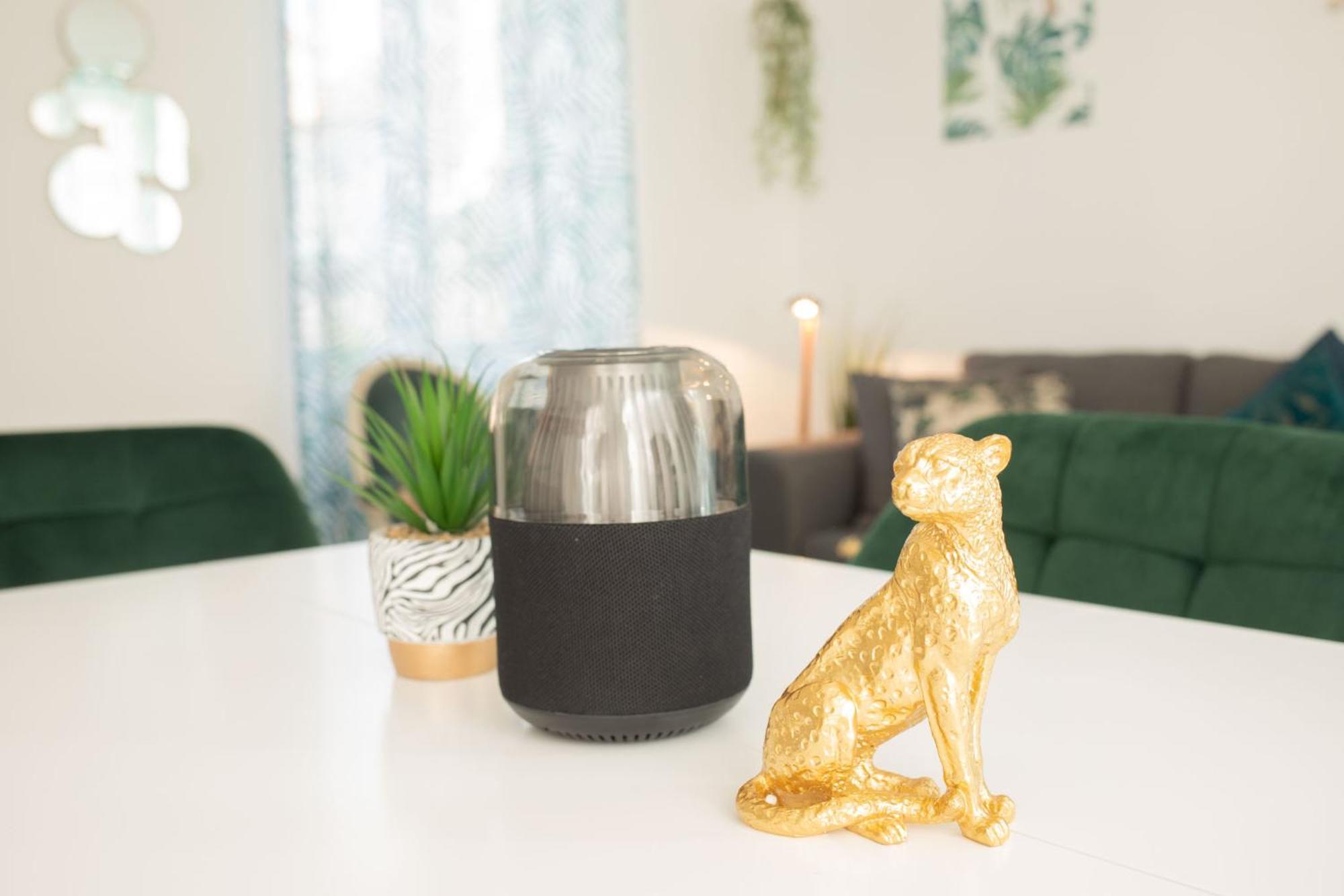 Jungle Appartement Lumineux Plein Centre Boulogne-sur-Mer Exteriör bild