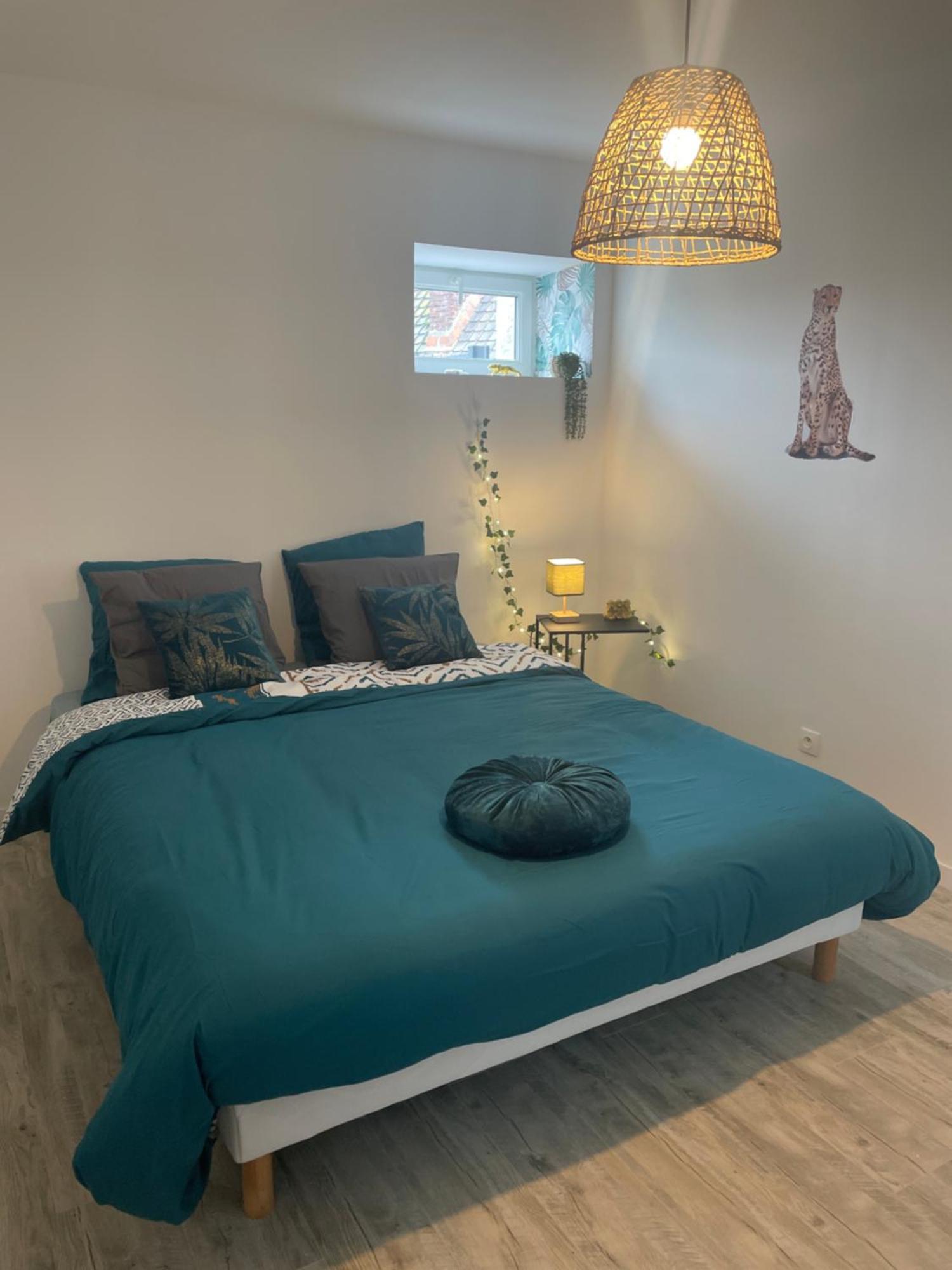 Jungle Appartement Lumineux Plein Centre Boulogne-sur-Mer Exteriör bild