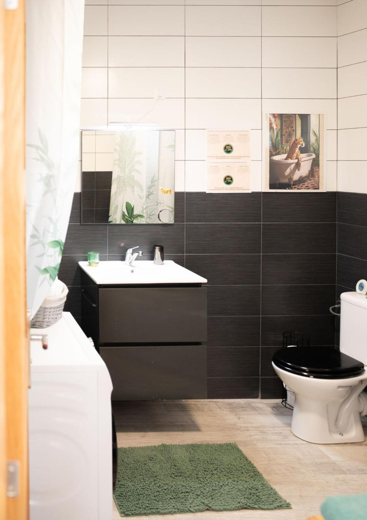 Jungle Appartement Lumineux Plein Centre Boulogne-sur-Mer Exteriör bild