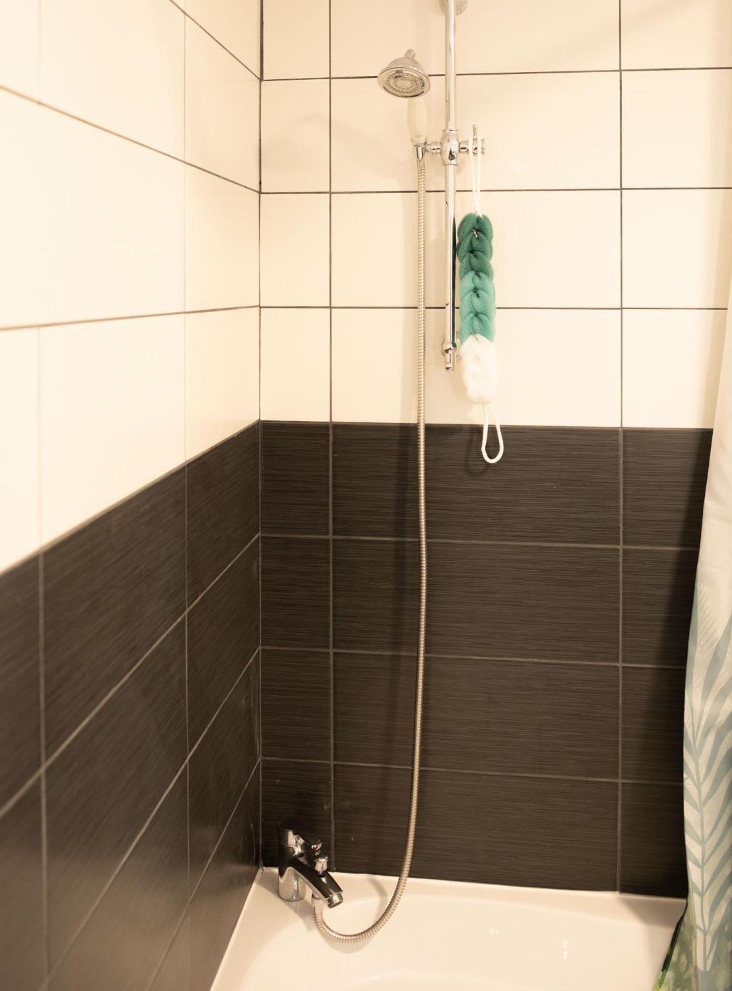 Jungle Appartement Lumineux Plein Centre Boulogne-sur-Mer Exteriör bild