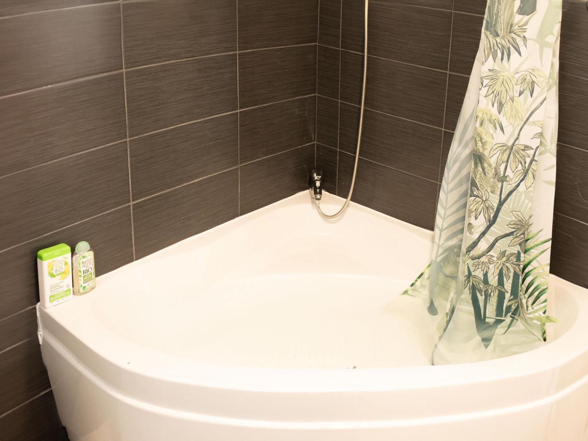 Jungle Appartement Lumineux Plein Centre Boulogne-sur-Mer Exteriör bild